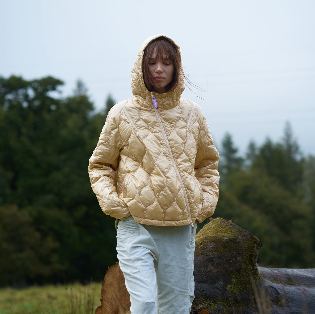 Cloud Quilted Liner Jacket