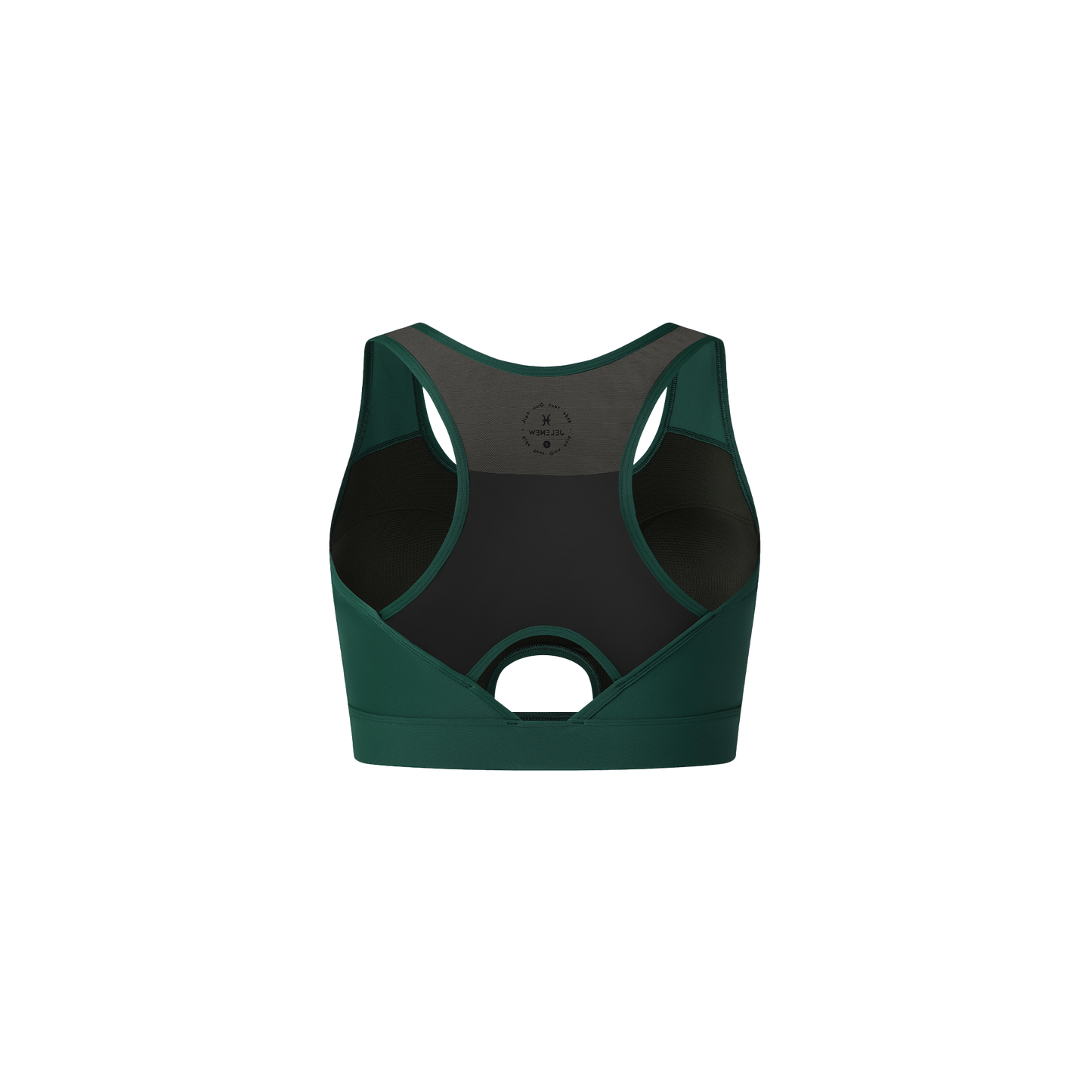 ChromaFlex HRM-Fit Bra
