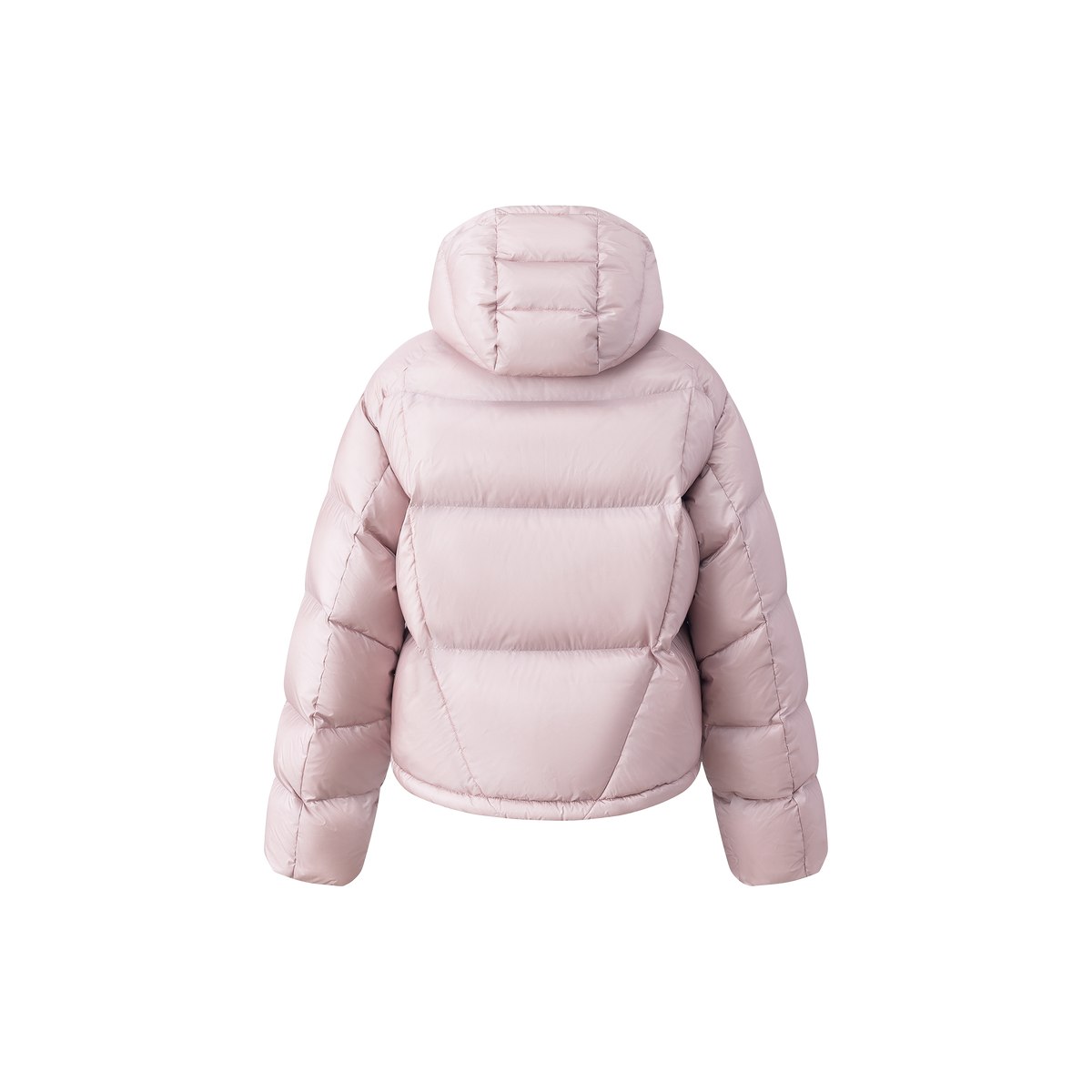 LD Plume Down Jacket