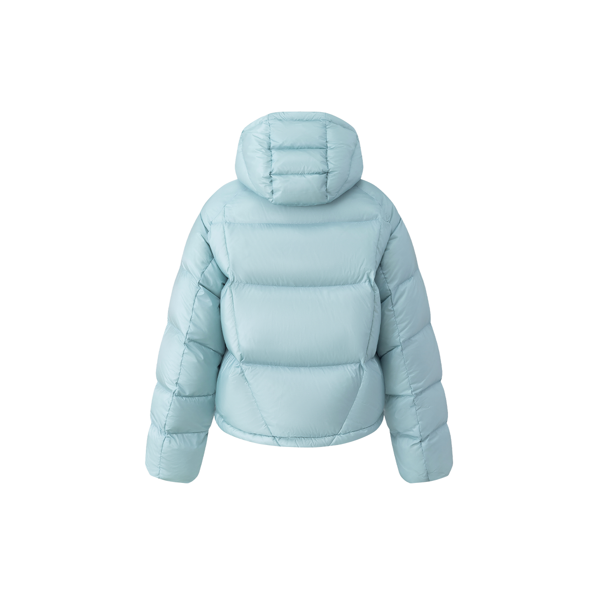 LD Plume Down Jacket