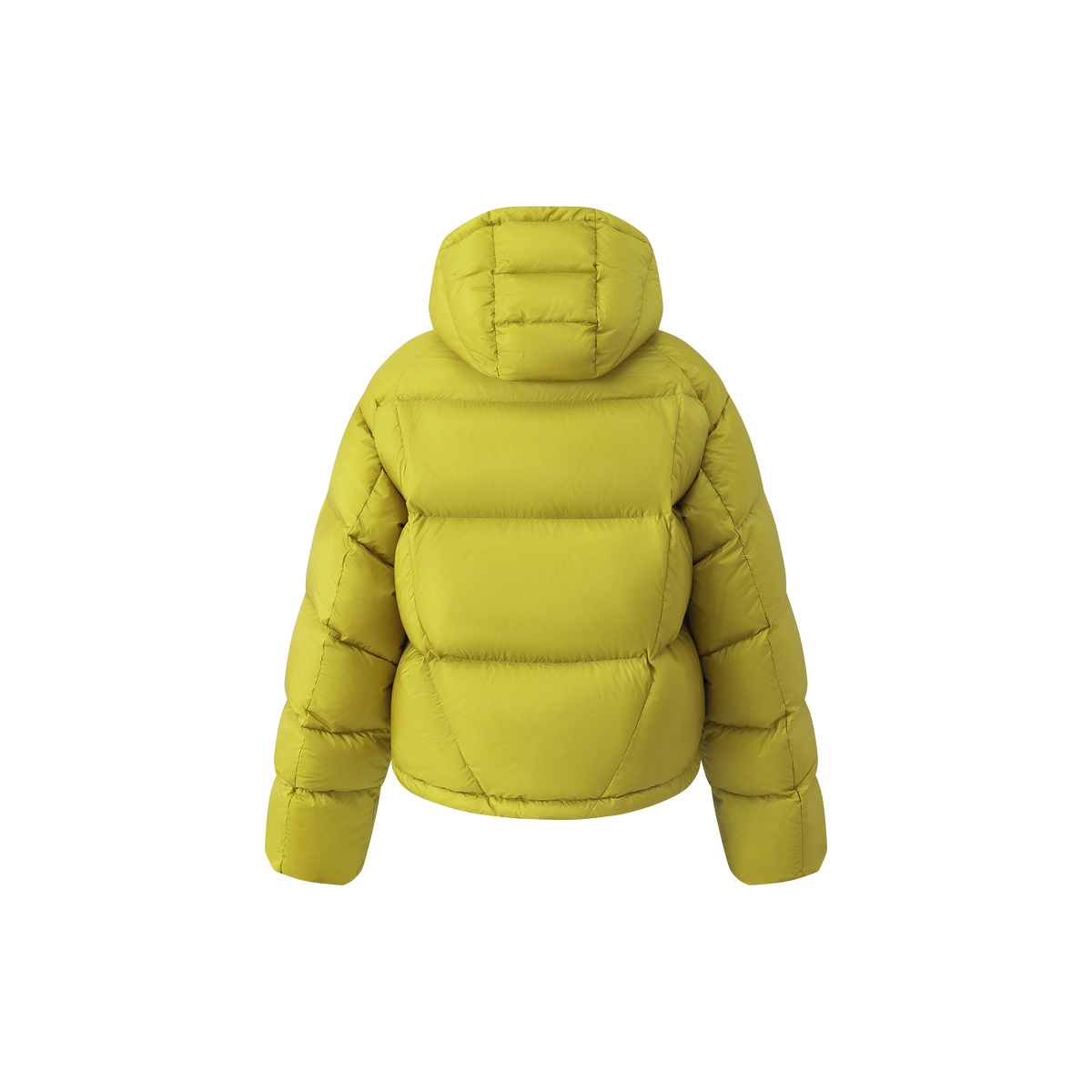 LD Plume Down Jacket